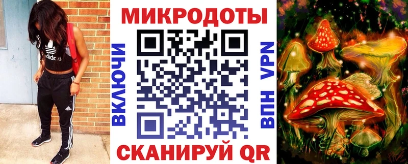 Купить  Ахтубинск  Псилоцибиновые грибы Psilocybe 